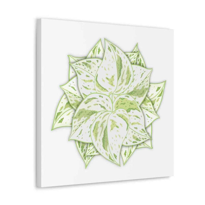 Snow Queen Pothos Canvas – Variegated Leaf Canvas Art Print | Durable Cotton