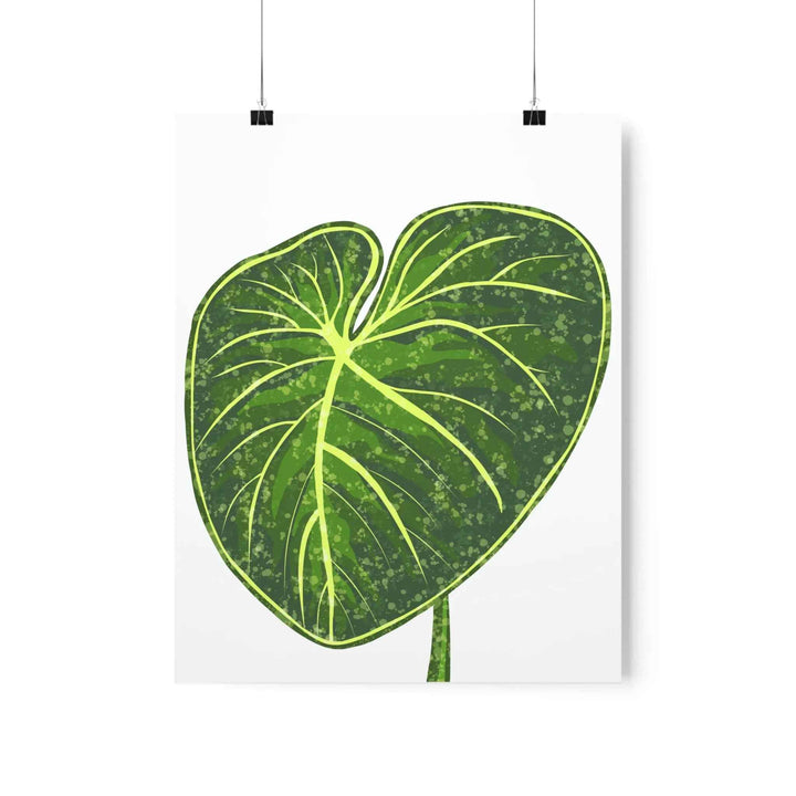 Philodendron Gloriosum Print Botanical Wall Art – Tropical Leaf Poster on Museum-Grade Paper Unframed