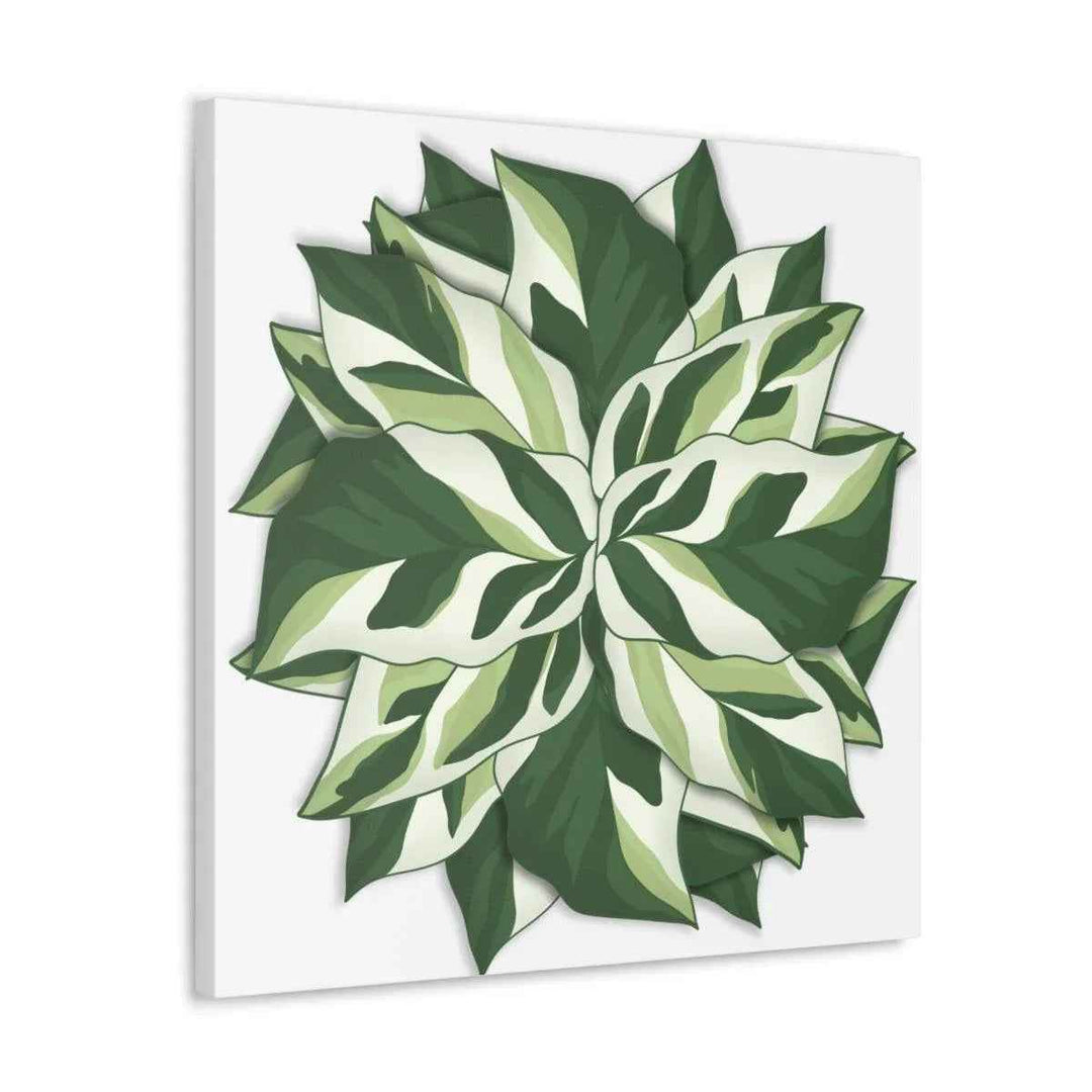 Calathea White Fusion Canvas | Indoor Wall Art - Matte Finish Botanical Canvas Art Print