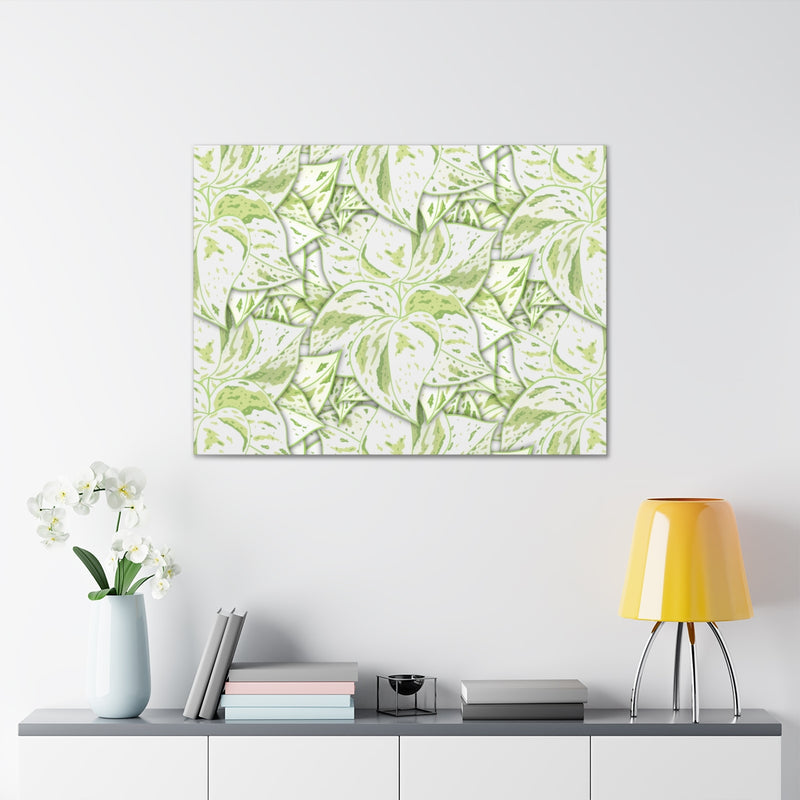 Snow Queen Pothos Canvas