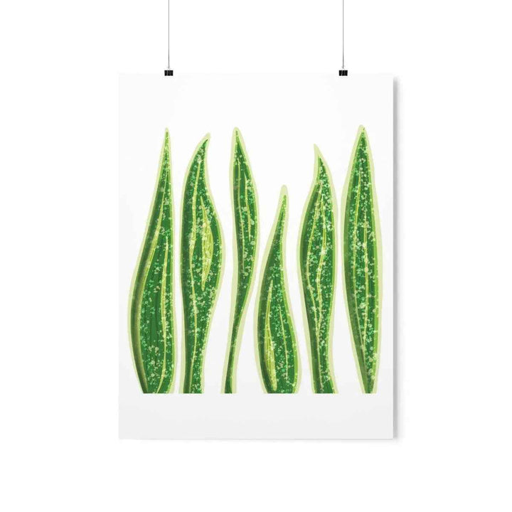 Snake Plant Print – Large Botanical Wall Art Poster | Matte Finish | Unframed