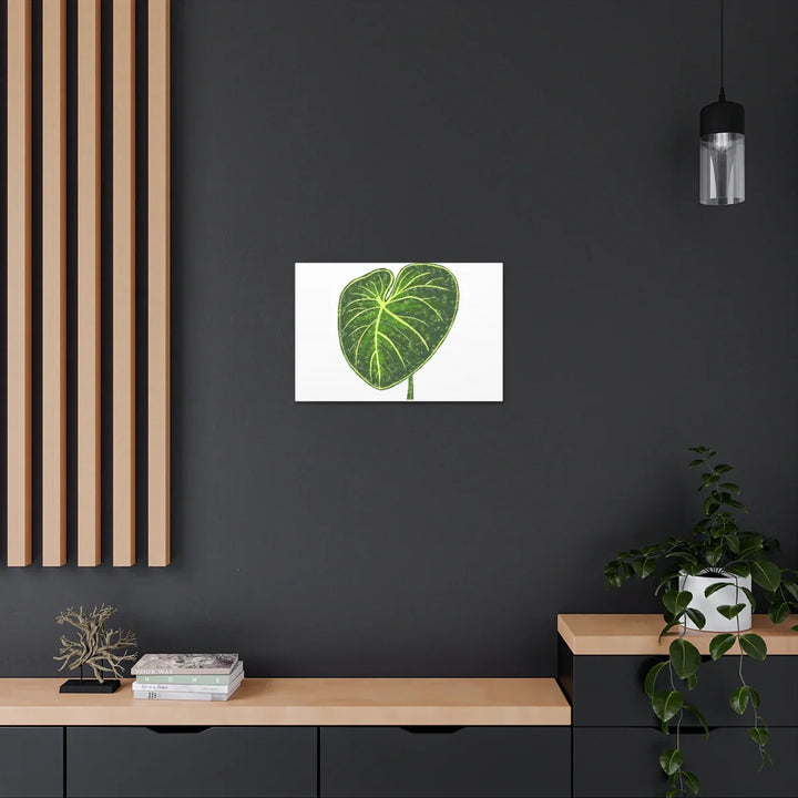 Philodendron Gloriosum Canvas - Stretched Canvas Art Print | Matte Indoor Wall Art - Laura Christine Photography & Design