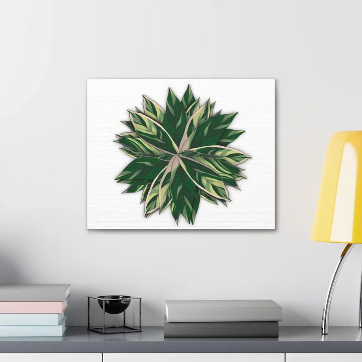 Stromanthe Triostar Canvas - Pastel Stripe Canvas Art Print With Vivid Color Artwork - Laura Christine Photography & Design