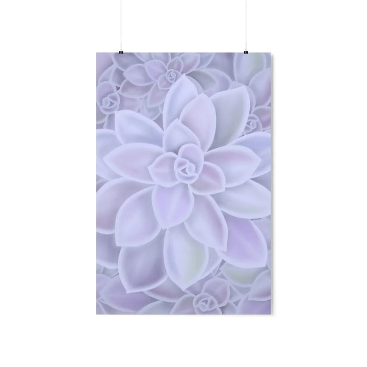 Graptopetalum 'Murasaki' Succulent Print, Poster, Laura Christine Photography & Design, Back to School, Home & Living, Indoor, Matte, Paper, Posters, Valentine's Day promotion, Laura Christine Photography & Design, laurachristinedesign.com