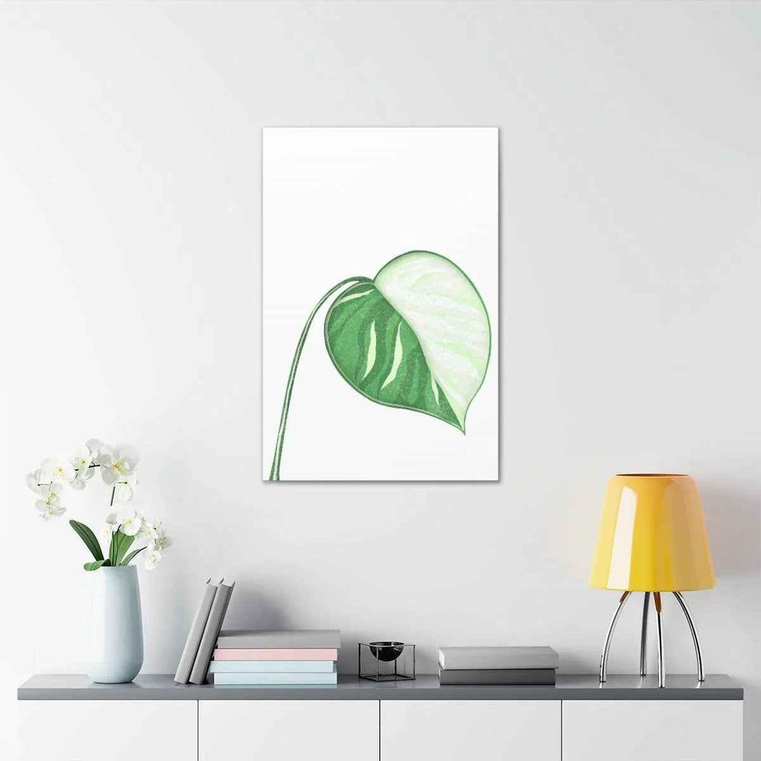 Monstera Albo Canvas | Large Tropical Leaf Artwork - Matte Finish Canvas Art Print
