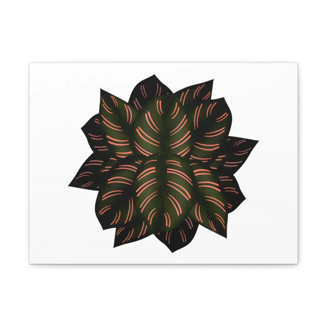 Calathea Pinstripe Canvas – Botanical Canvas Art Print | Matte Finish Wall Decor