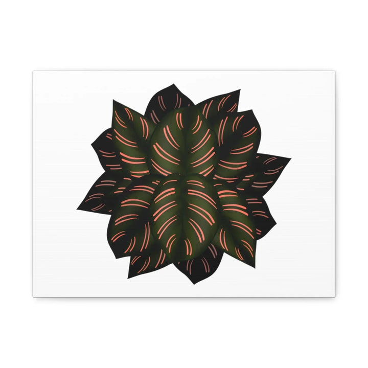 Calathea Pinstripe Canvas – Botanical Canvas Art Print | Matte Finish Wall Decor