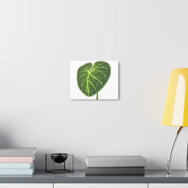 Philodendron Gloriosum Canvas - Stretched Canvas Art Print | Matte Indoor Wall Art - Laura Christine Photography & Design