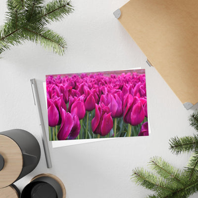 Magenta tulips- Postcard, 10-pack, Paper products, Printify, Back to School, Home & Living, Indoor, Matte, Paper, Posters, Laura Christine Photography & Design, laurachristinedesign.com