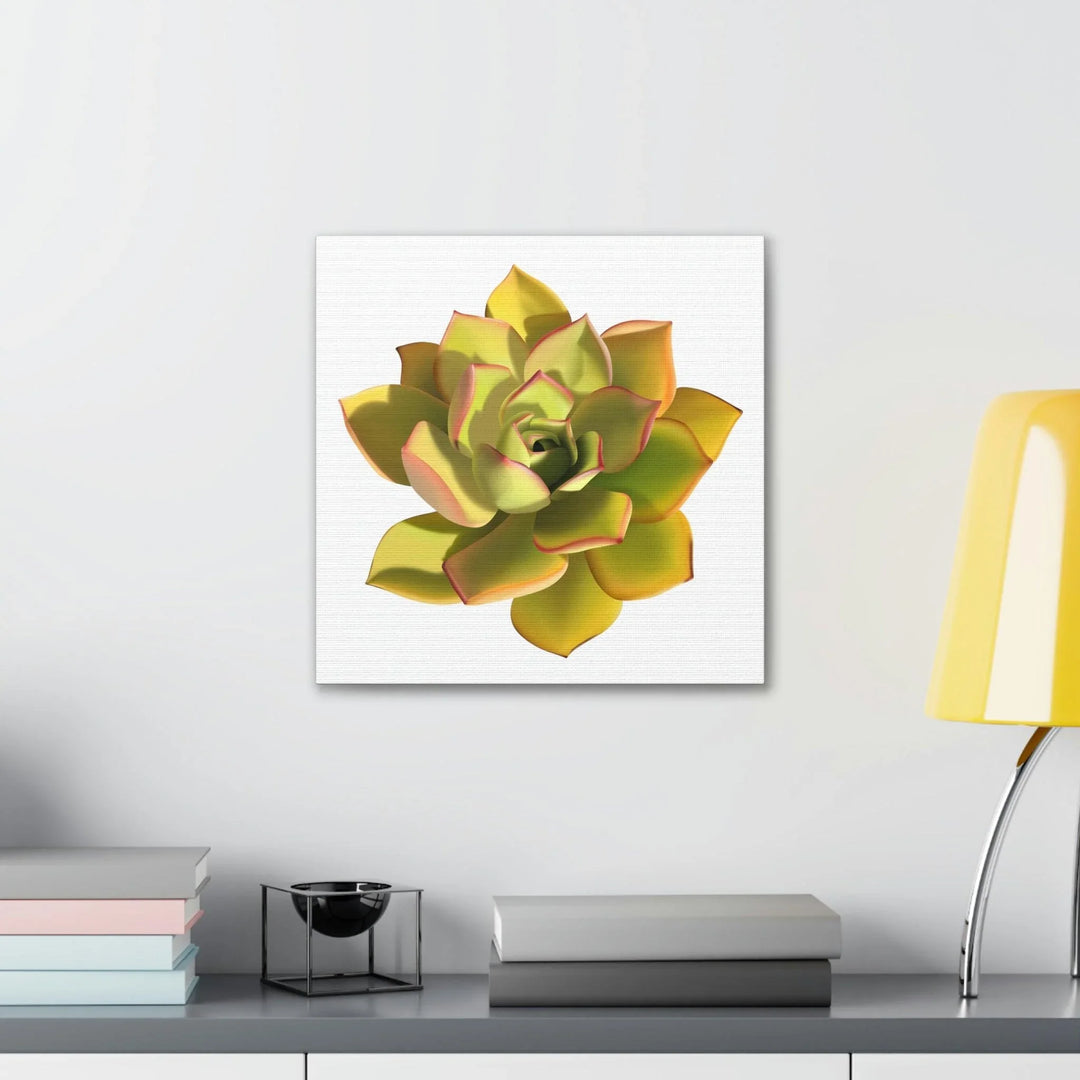 Noble Aeonium Succulent Canvas, Canvas, Printify, Art & Wall Decor, Canvas, Hanging Hardware, Home & Living, Indoor, Laura Christine Photography & Design, laurachristinedesign.com