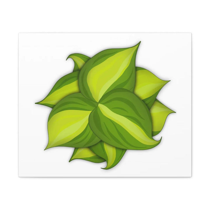 Philodendron Brasil Canvas - Botanical Canvas Art Print With Matte Finish & Durable Hanging - Laura Christine Photography & Design