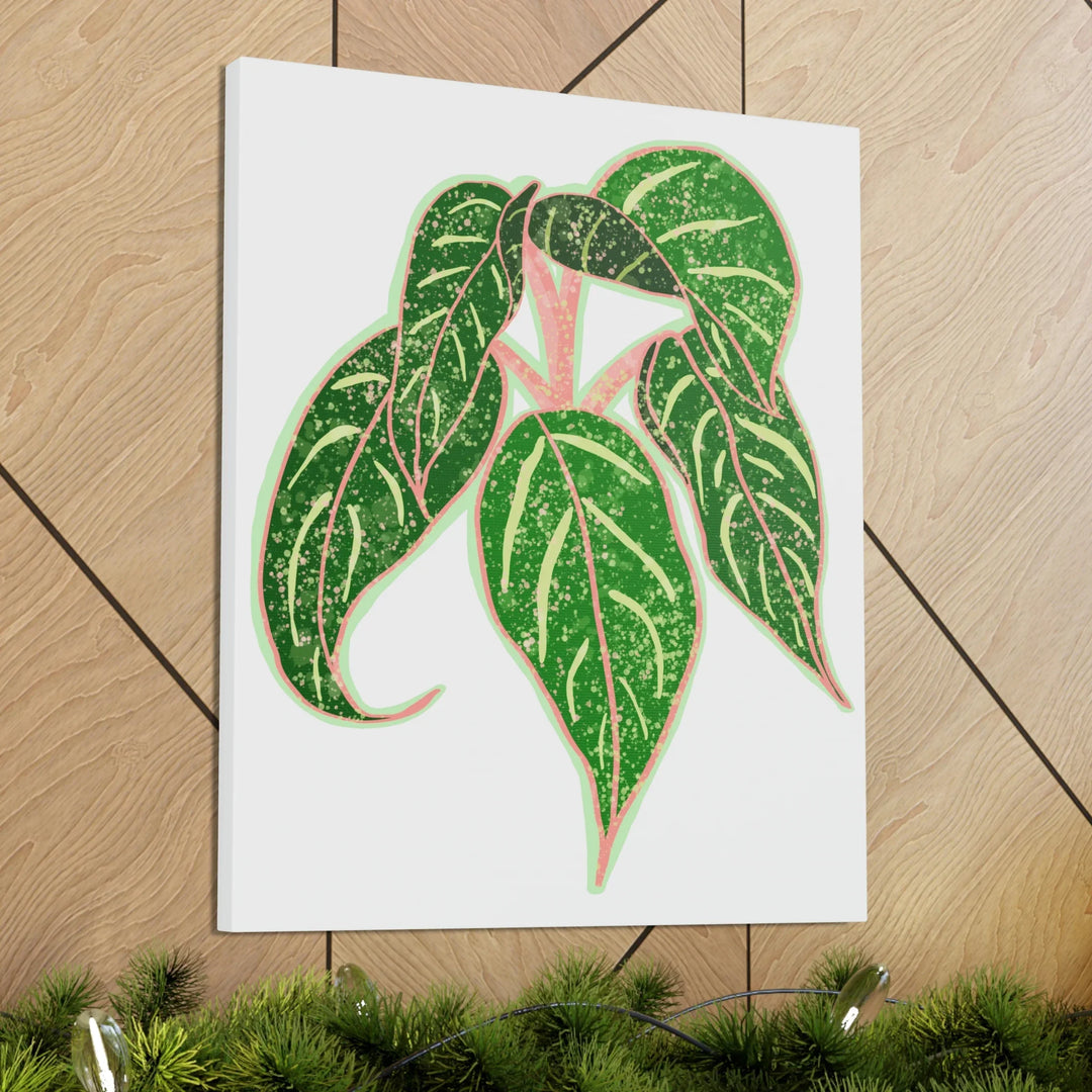 Aglaonema Plant Canvas | Sparkling Plant Artwork - Colorfast Canvas Art Print Decor