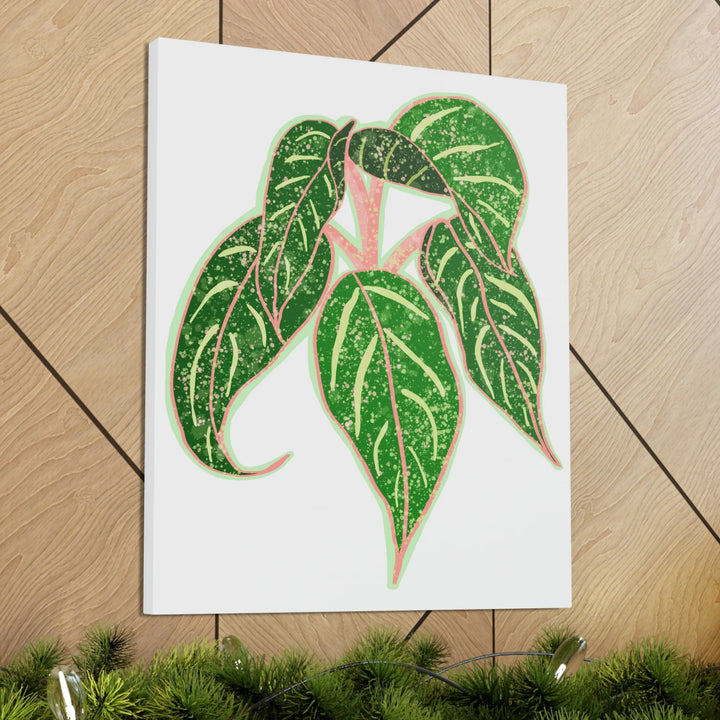 Aglaonema Plant Canvas | Sparkling Plant Artwork - Colorfast Canvas Art Print Decor