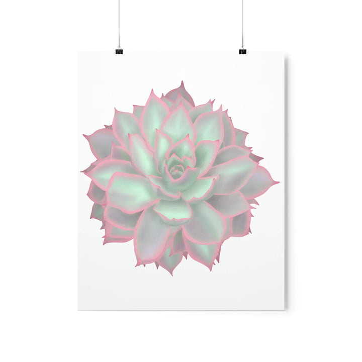 Echeveria Violet Queen Print – Succulent Wall Art | Botanical Poster On Museum Grade Paper