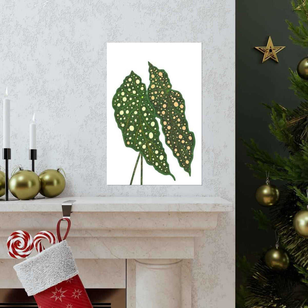 Begonia Maculata Print - Botanical Wall Art on Museum Grade Paper | Matte Finish Unframed