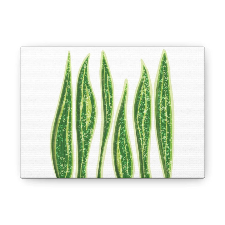 Snake Plant Canvas | Botanical Canvas Decor - Matte Finish Artwork for Living Room - Laura Christine Photography & Design