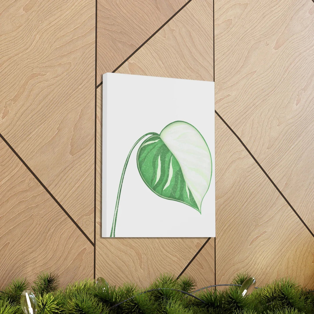 Monstera Albo Canvas | Large Tropical Leaf Artwork - Matte Finish Canvas Art Print - Laura Christine Photography & Design