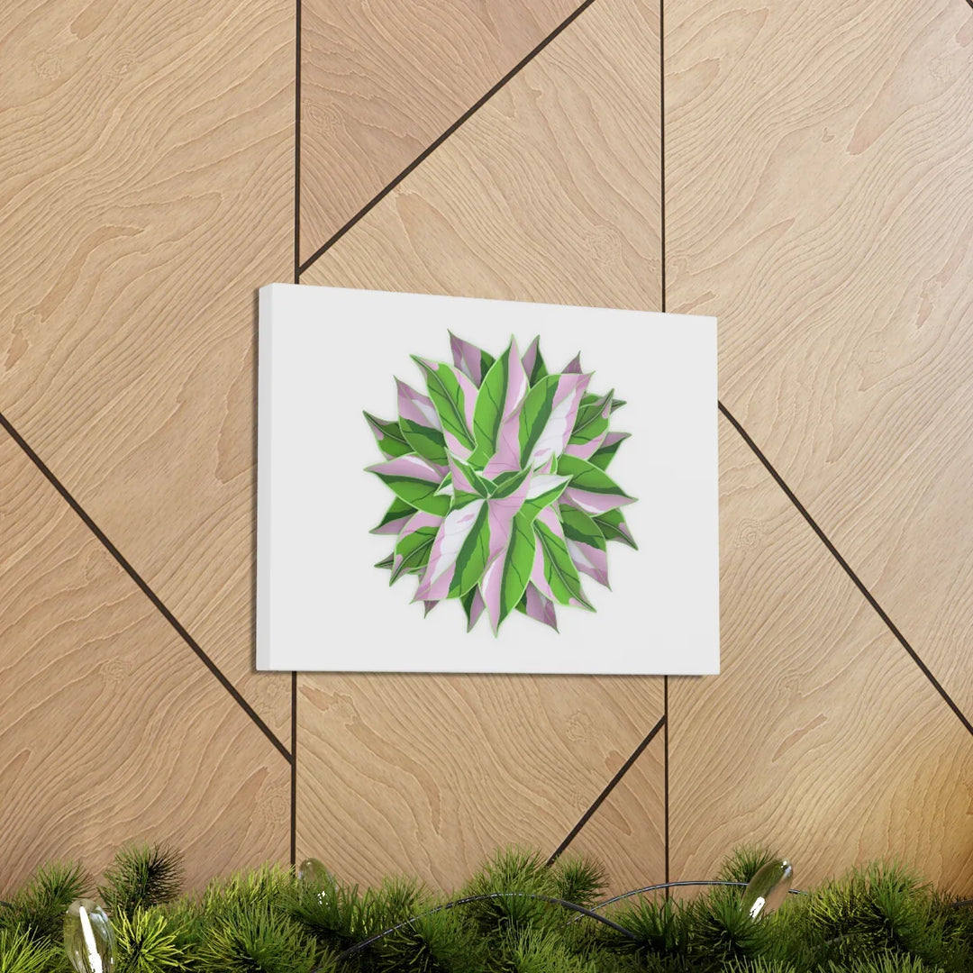 Tricolor Syngonium Canvas - Durable Canvas Art Print With Matte Finish & Botanical Design - Laura Christine Photography & Design