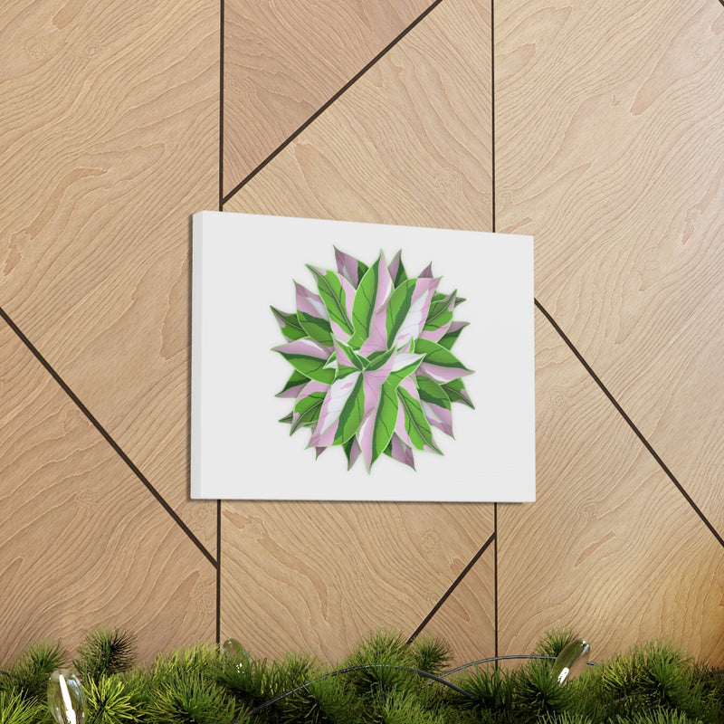 Tricolor Syngonium Canvas