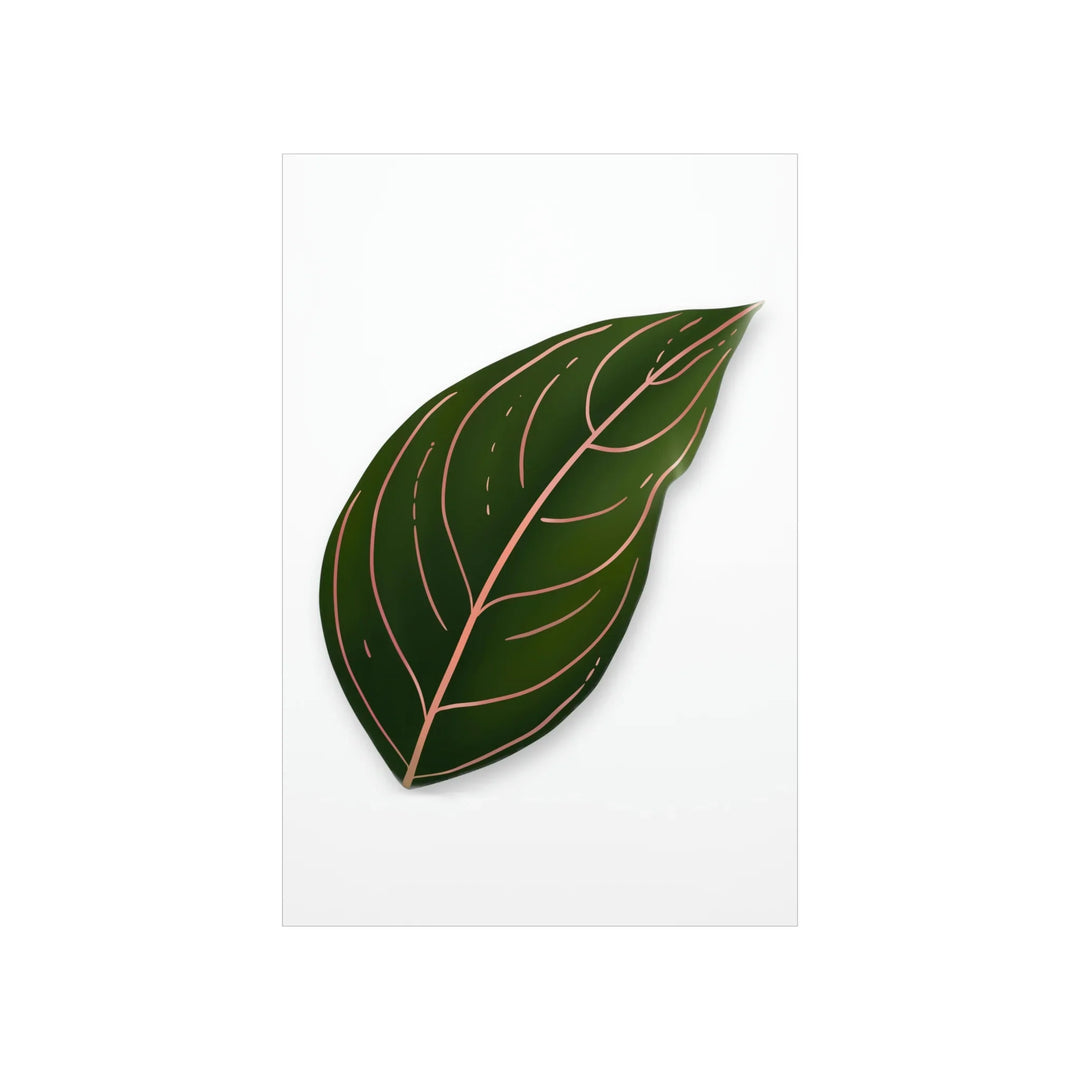 Aglaonema Rotundum Print – Botanical Wall Art on Museum Grade Paper | Unframed