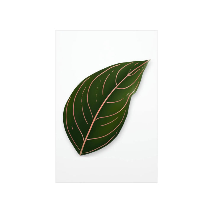 Aglaonema Rotundum Print – Botanical Wall Art on Museum Grade Paper | Unframed