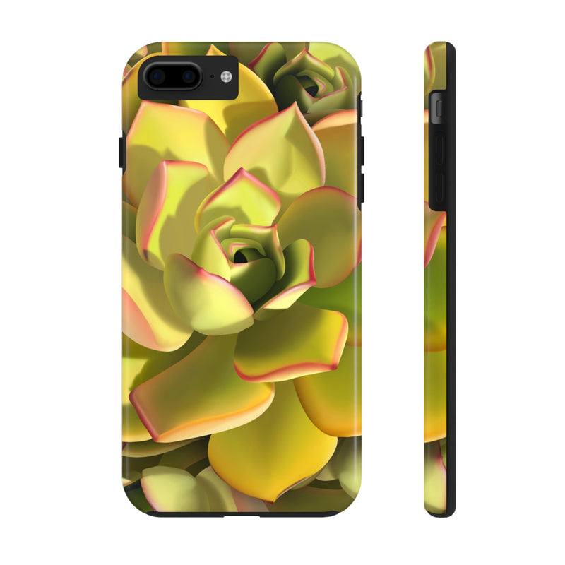 Noble Aeonium Succulent Phone Case, Phone Case, Printify, Accessories, Glossy, iPhone Cases, Matte, Phone accessory, Phone Cases, Samsung Cases, Laura Christine Photography & Design, laurachristinedesign.com