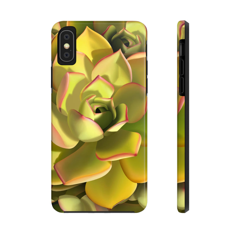 Noble Aeonium Succulent Phone Case, Phone Case, Printify, Accessories, Glossy, iPhone Cases, Matte, Phone accessory, Phone Cases, Samsung Cases, Laura Christine Photography & Design, laurachristinedesign.com