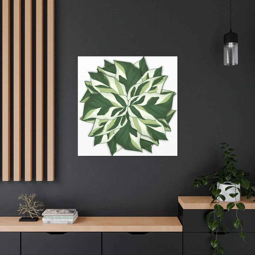 Calathea White Fusion Canvas | Indoor Wall Art - Matte Finish Botanical Canvas Art Print