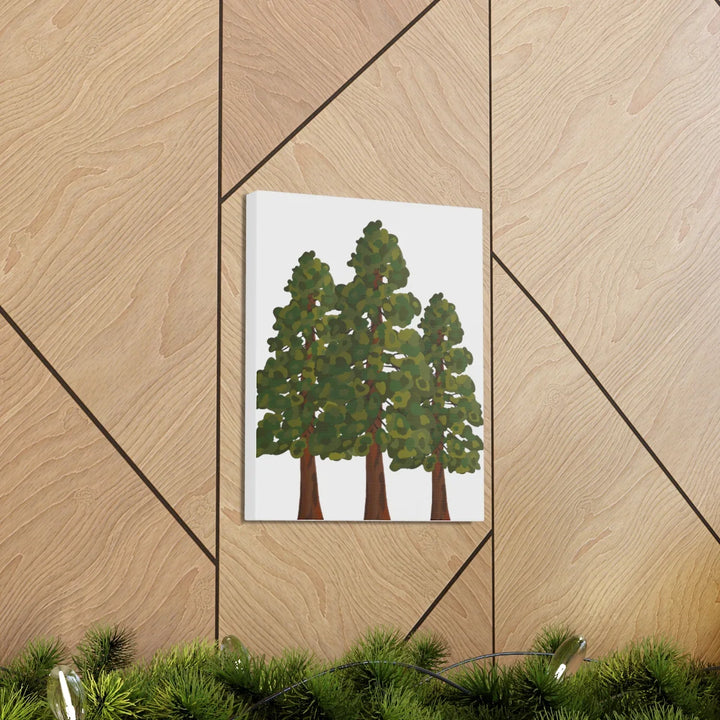 Coastal Redwoods Canvas - Stretched Cotton Canvas Art Print | Matte Finish Wall Hanging Artwork