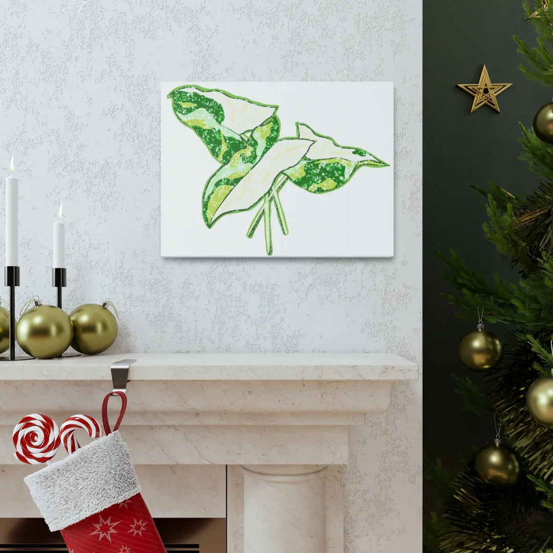 Marble Syngonium Canvas - Botanical Canvas Art Print | Durable Cotton Matte Finish - Laura Christine Photography & Design