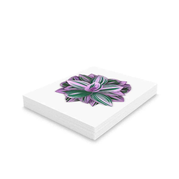Tradescantia Nanouk Card – Floral Greeting Card with Colorful Variegated Foliage
