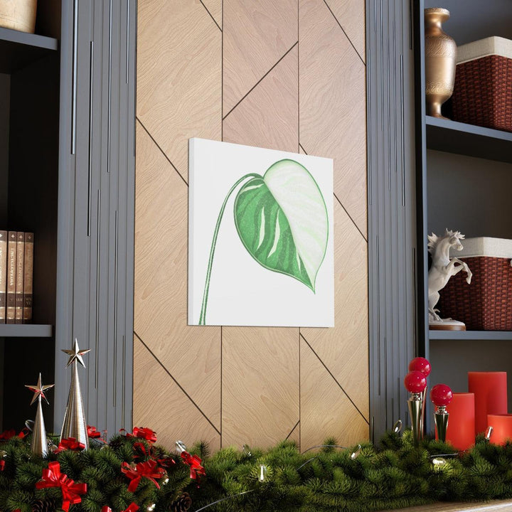 Monstera Albo Canvas | Large Tropical Leaf Artwork - Matte Finish Canvas Art Print - Laura Christine Photography & Design