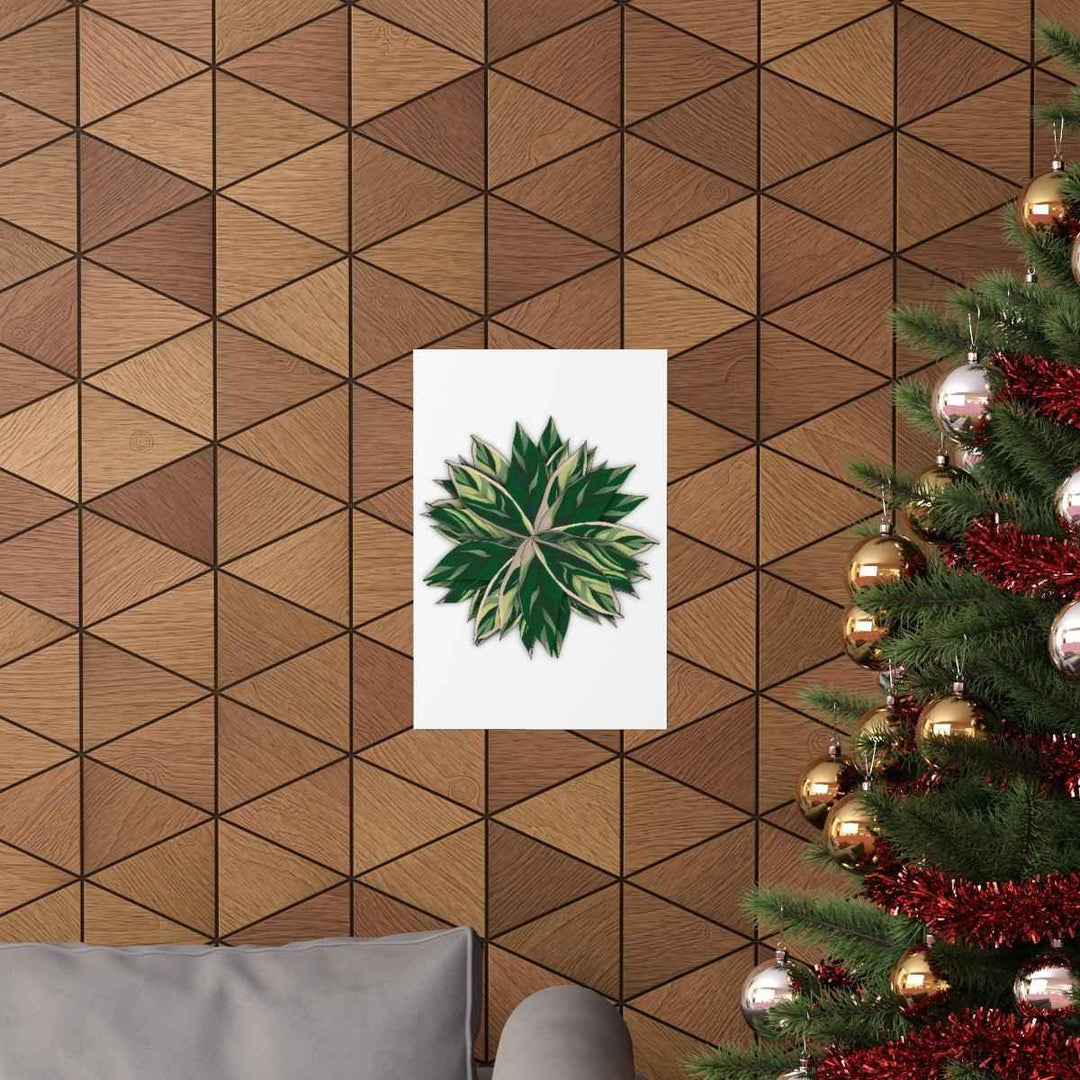 Stromanthe Triostar Print – Tropical Wall Art | Botanical Poster on Museum Grade Paper Unframed