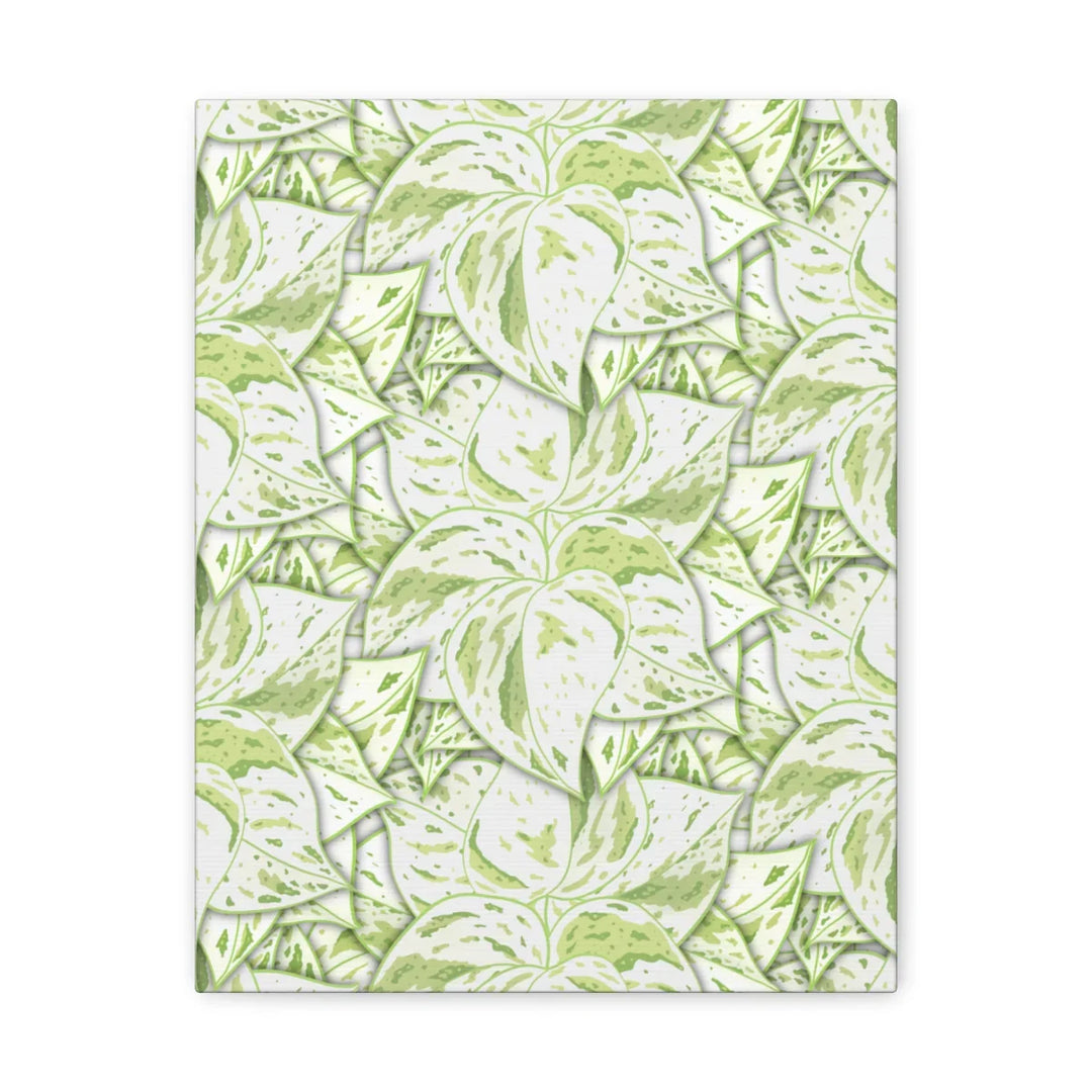 Snow Queen Pothos Canvas – Matte Finish Canvas Art Print | Variegated Botanical Wall Decor