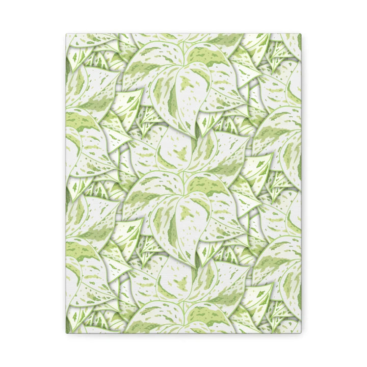 Snow Queen Pothos Canvas – Matte Finish Canvas Art Print | Variegated Botanical Wall Decor