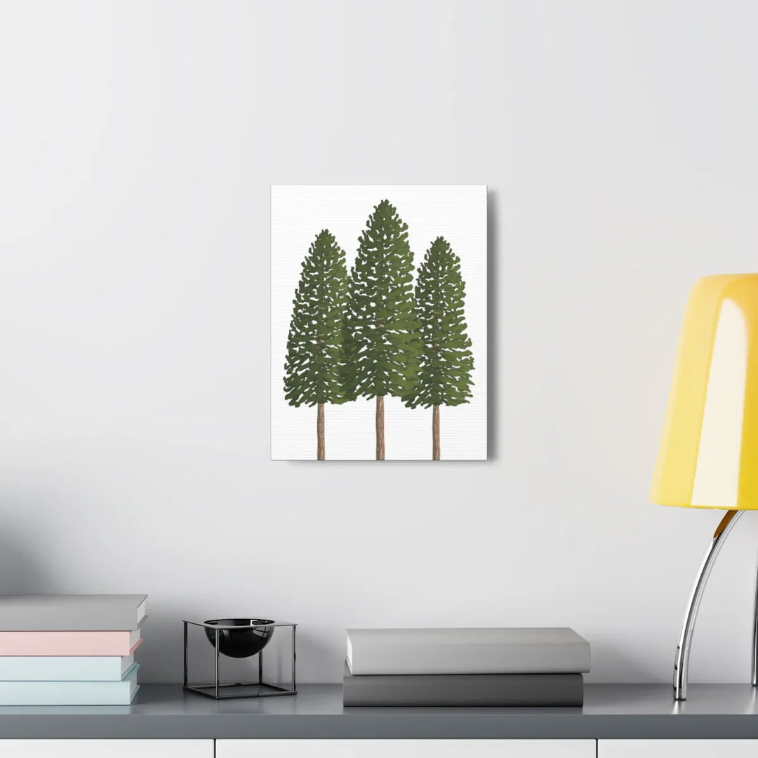 Ponderosa Pine Canvas - Large Stretched Cotton Canvas Art Print With Matte Finish
