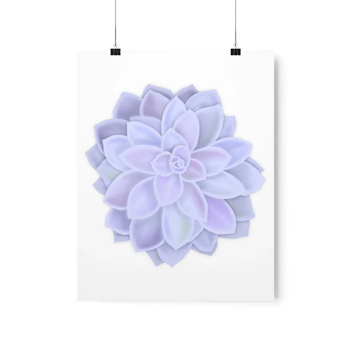 Graptopetalum 'Murasaki' Succulent Print, Poster, Laura Christine Photography & Design, Back to School, Home & Living, Indoor, Matte, Paper, Posters, Valentine's Day promotion, Laura Christine Photography & Design, laurachristinedesign.com