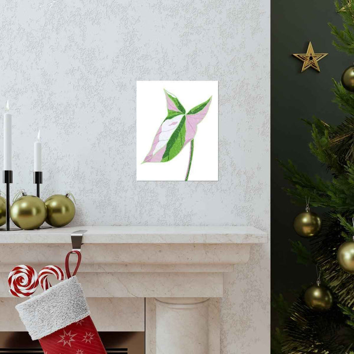 Syngonium Tricolor Print – Botanical Wall Art | Variegated Leaf Poster Unframed