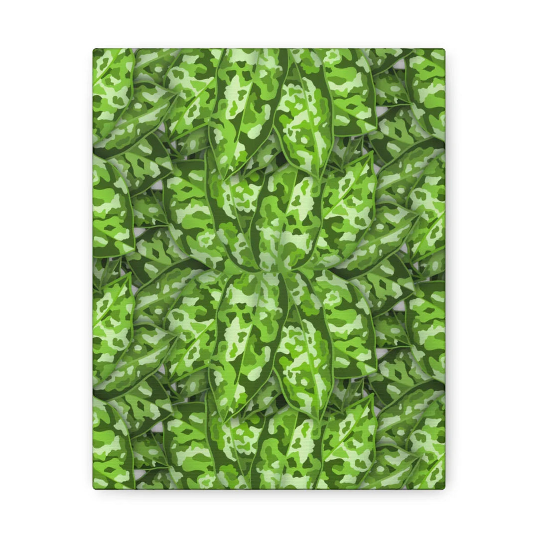 Aglaonema Pictum Canvas - Rare Camouflage Leaf Print Canvas Art Print