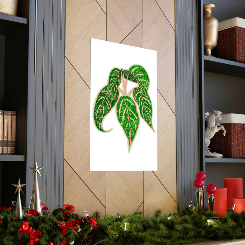 Aglaonema Sparkling Sarah Print