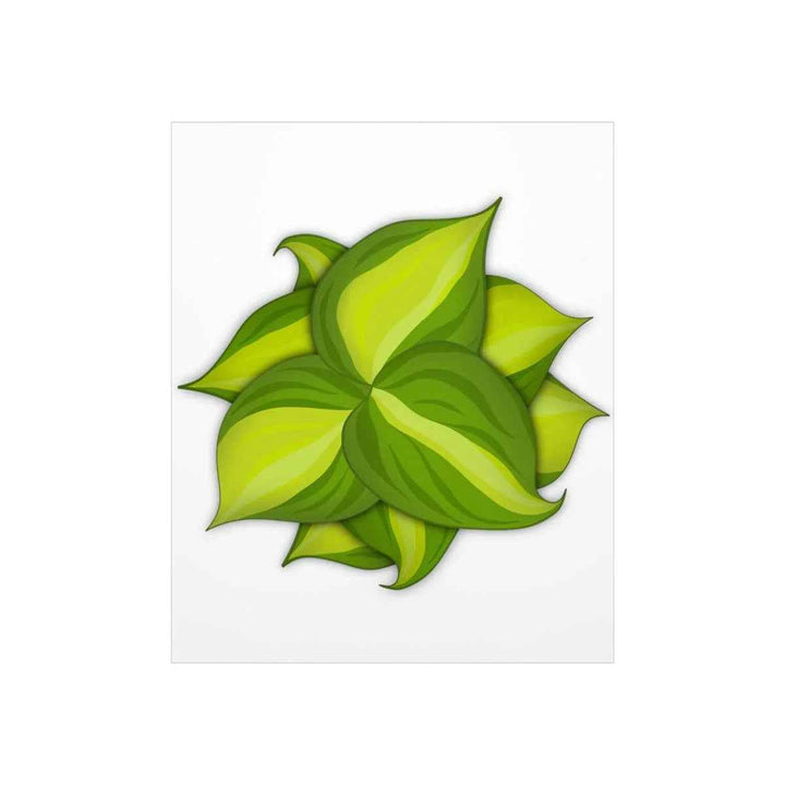 Philodendron Brasil Print – Botanical Wall Art on Museum Grade Paper Poster Unframed