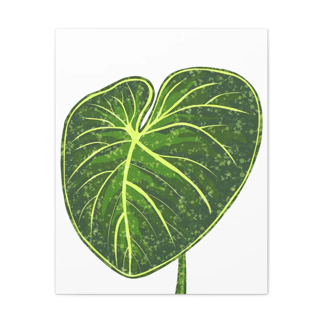 Philodendron Gloriosum Canvas - Stretched Canvas Art Print | Matte Indoor Wall Art - Laura Christine Photography & Design