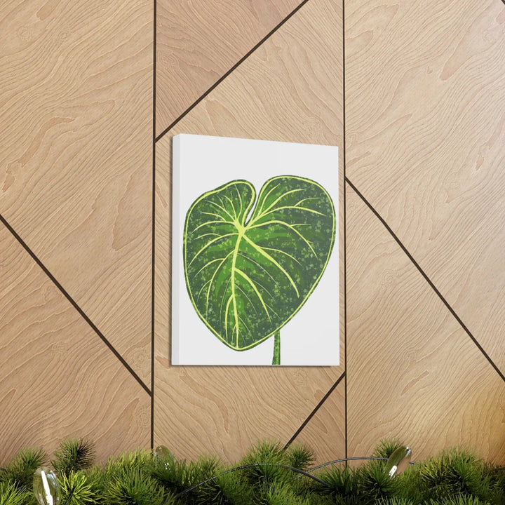 Philodendron Gloriosum Canvas - Stretched Canvas Art Print | Matte Indoor Wall Art - Laura Christine Photography & Design