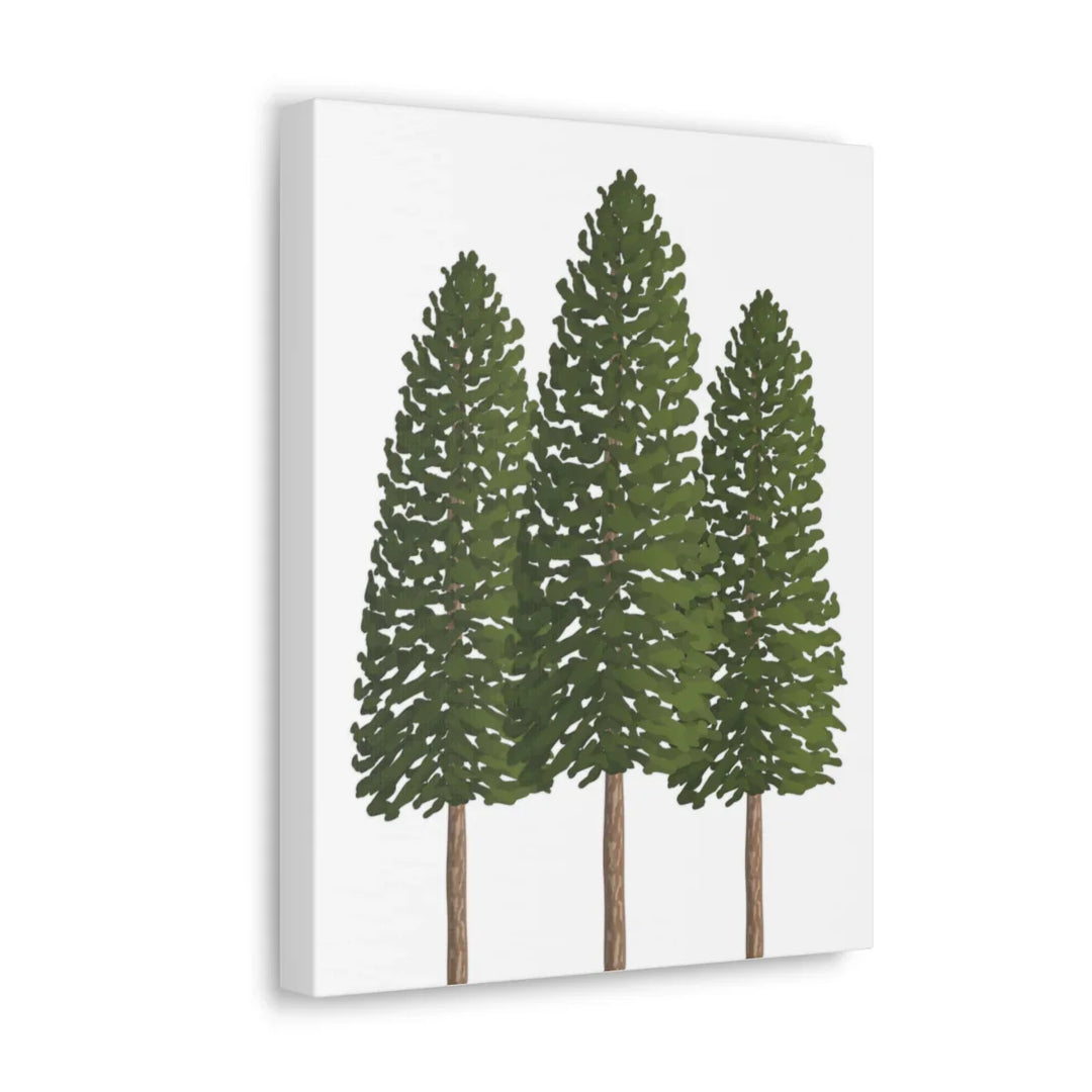 Ponderosa Pine Canvas - Large Stretched Cotton Canvas Art Print With Matte Finish