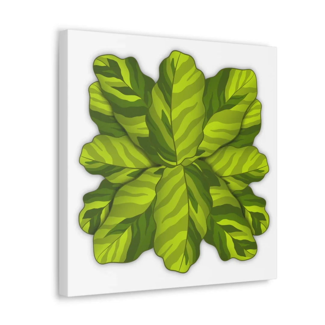 Calathea Yellow Fusion Canvas – Botanical Canvas Print With Unique Leaf Pattern Art - Laura Christine Photography & Design
