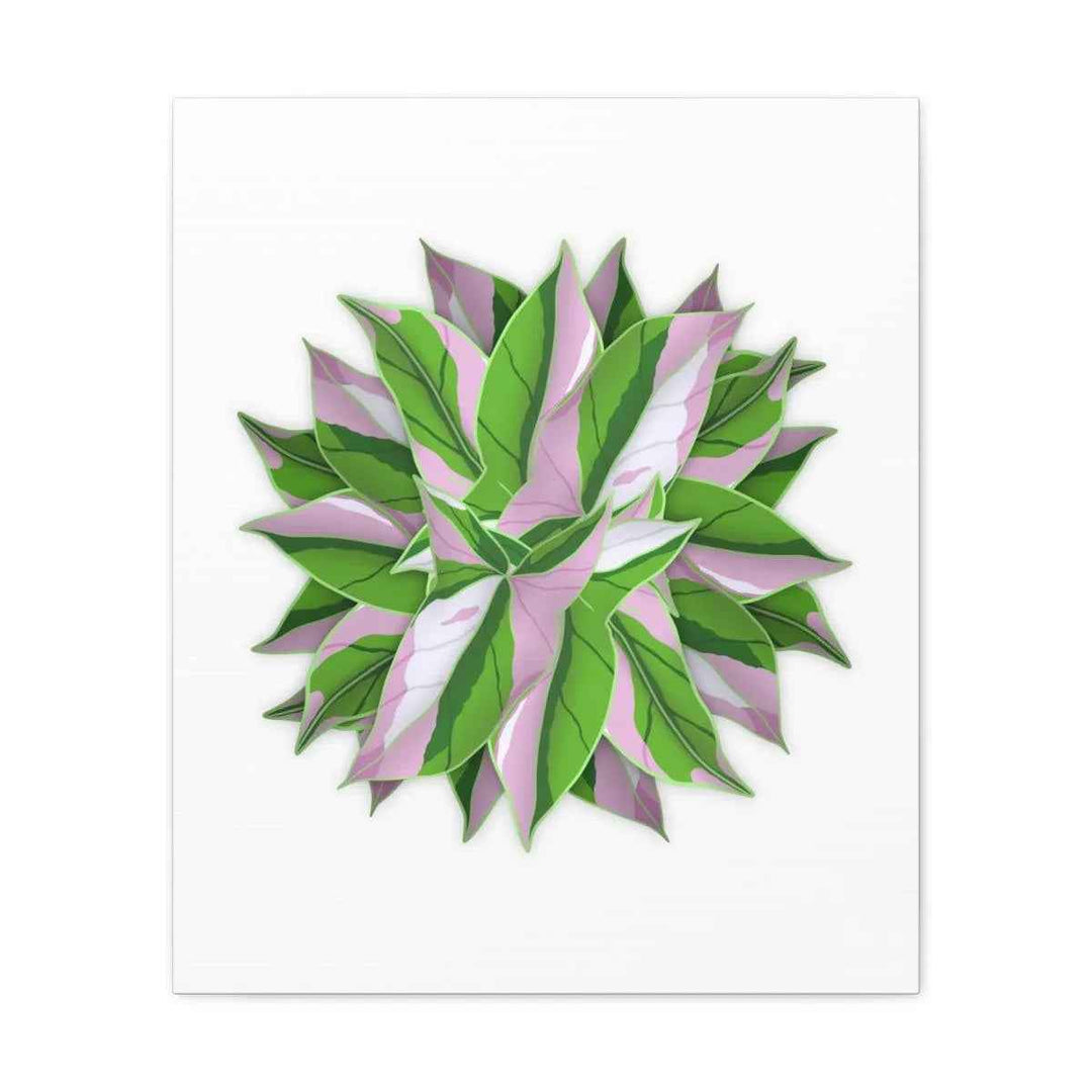 Tricolor Syngonium Canvas - Durable Canvas Art Print With Matte Finish & Botanical Design