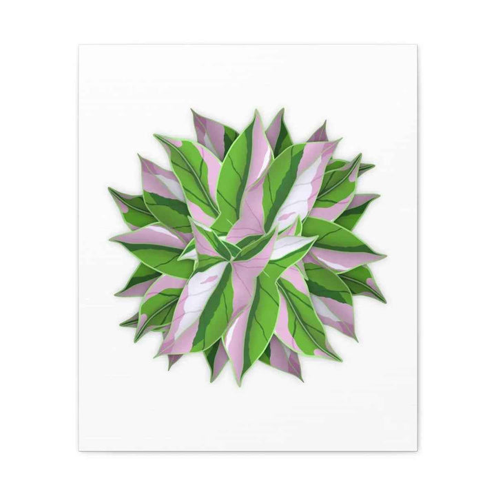 Tricolor Syngonium Canvas - Durable Canvas Art Print With Matte Finish & Botanical Design