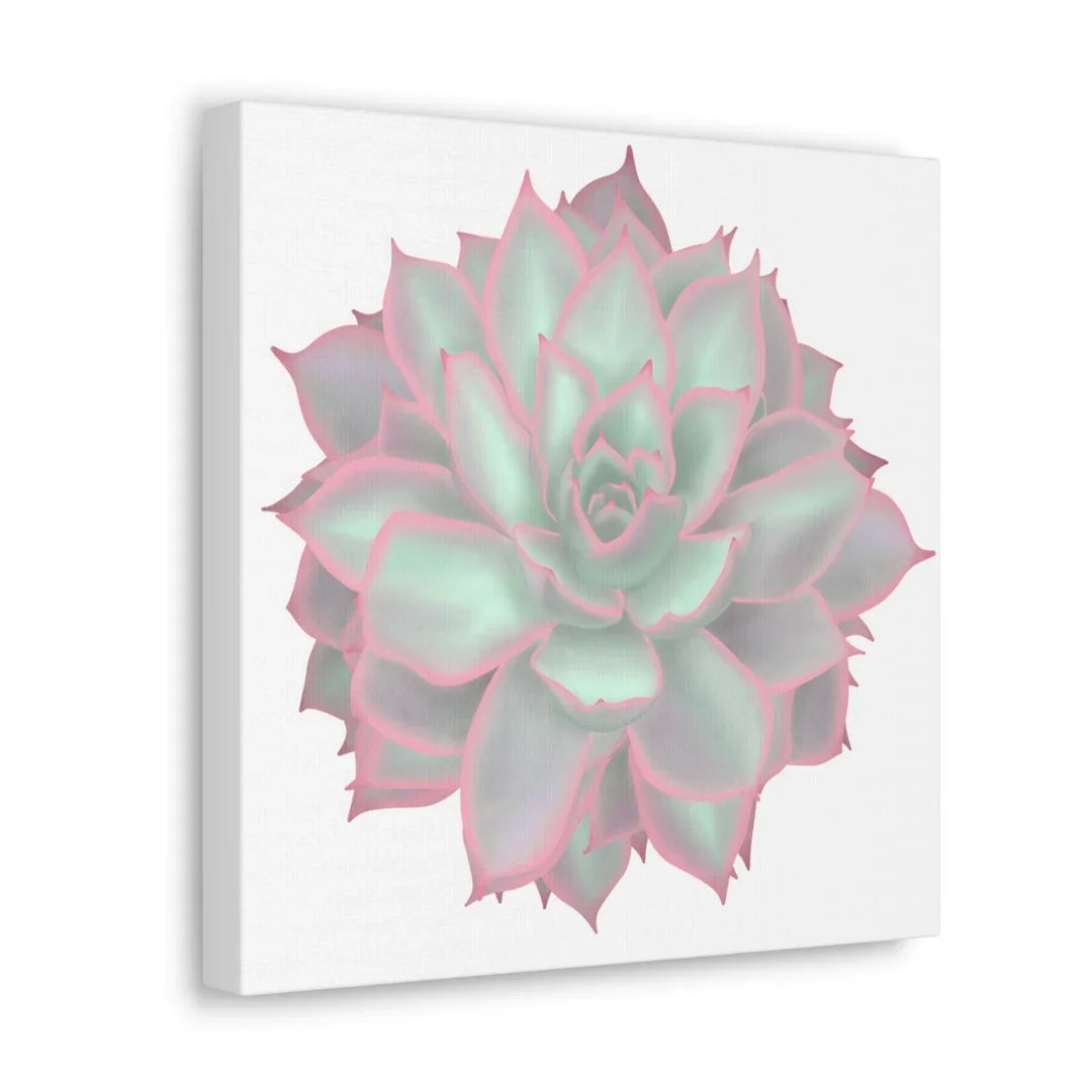 Echeveria Violet Queen Succulent Canvas, Canvas, Laura Christine Photography & Design, Art & Wall Decor, Canvas, Hanging Hardware, Home & Living, Indoor, Laura Christine Photography & Design, laurachristinedesign.com