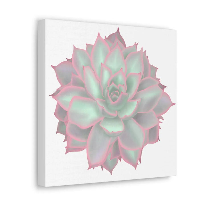 Echeveria Violet Queen Succulent Canvas, Canvas, Laura Christine Photography & Design, Art & Wall Decor, Canvas, Hanging Hardware, Home & Living, Indoor, Laura Christine Photography & Design, laurachristinedesign.com