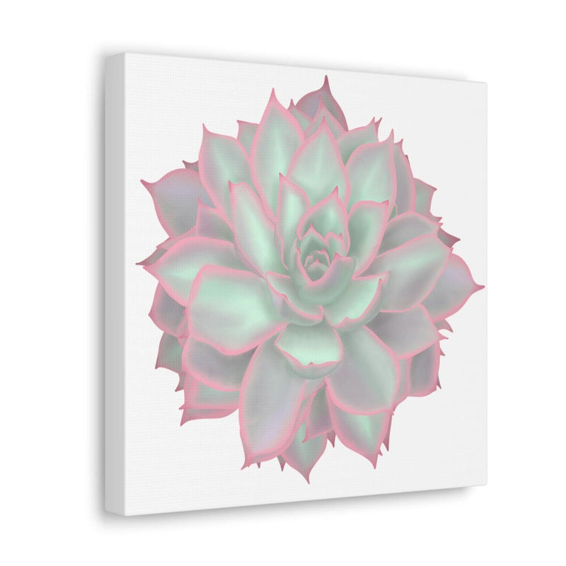 Echeveria Violet Queen Succulent Canvas, Canvas, Laura Christine Photography & Design, Art & Wall Decor, Canvas, Hanging Hardware, Home & Living, Indoor, Laura Christine Photography & Design, laurachristinedesign.com